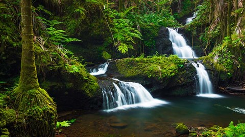 Framed Onomea Waterfalls At The Hawaii Tropical Botanical Garden Print