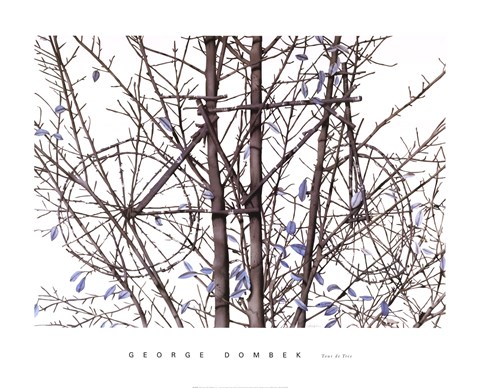 Framed Tour de Tree Print