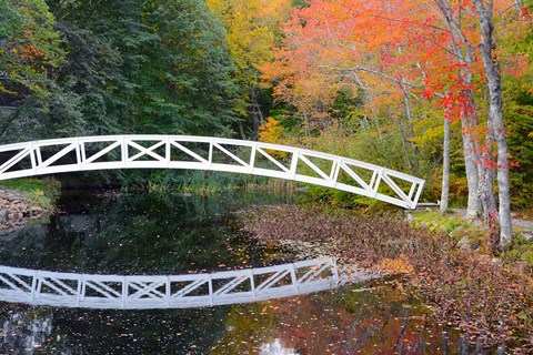 Framed White Footbridge In Autumn, Somesville, Maine Print