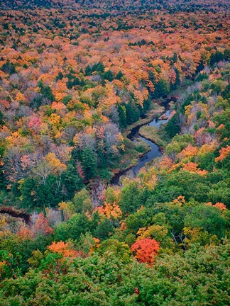 Framed Big Carp River, Porcupine Mountains Wilderness State Park, Michigan Print