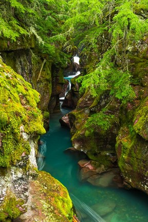 Framed Avalanche Creek, Glacier National Park, Montana Print