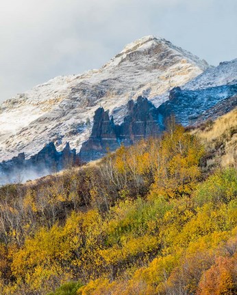 Framed Foggy Mountain In Humboldt National Forest, Nevada Print