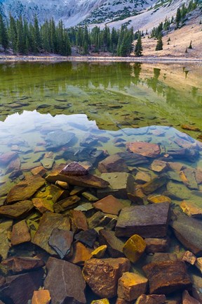 Framed Stella Lake, Great Basin National Park, Nevada Print