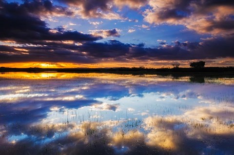 Framed Wetlands At Sunrise, Bosque Del Apache National Wildlife Refuge, New Mexico Print
