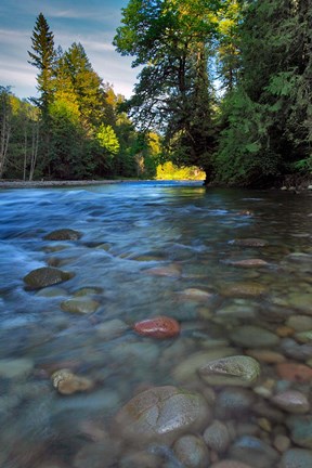 Framed Sandy River Landscape, Oregon Print