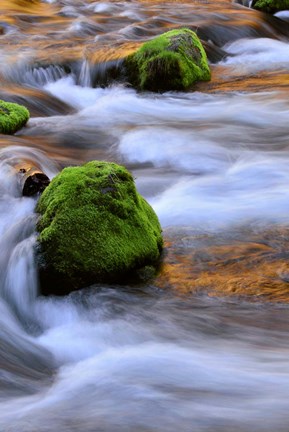 Framed Mckenzie River Flowing Over Moss-Covered Rocks, Oregon Print