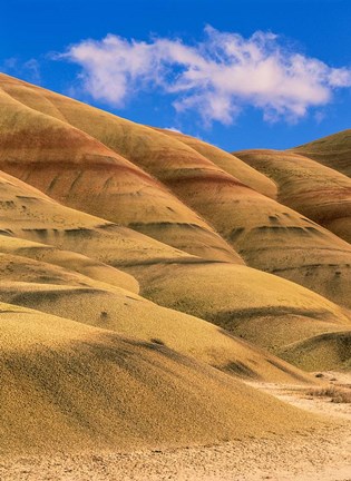 Framed Painted Hills Unit, John Day Fossil Beds National Monument, Oregon Print