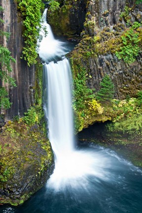 Framed Toketee Falls, Umpqua National Forest, Oregon Print