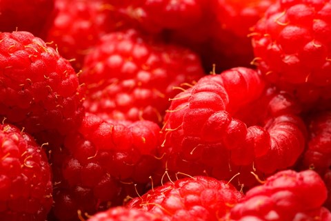 Framed Close-Up Of Fresh Raspberries Print