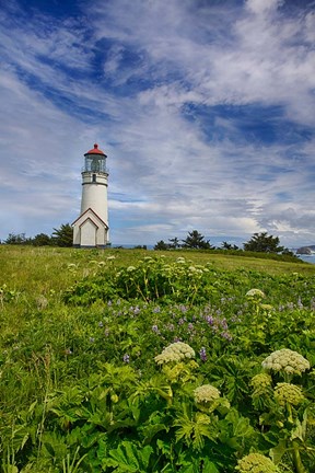 Framed Cape Blanco Lighthouse, Oregon Print