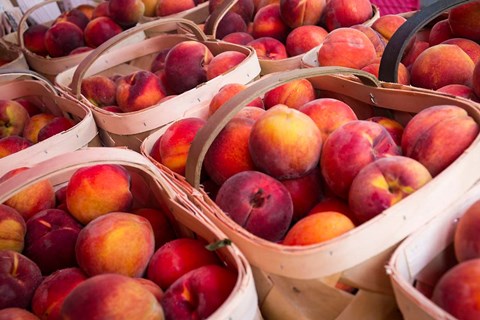 Framed Peaches In Baskets, South Carolina Print