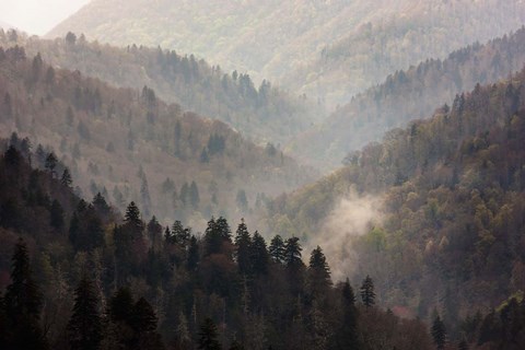 Framed Mist Rises In A Valley Of Tree-Lined Ridges Print