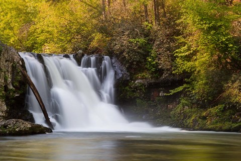 Framed Abrams Falls Landscape, Great Smoky Mountains National Park Print