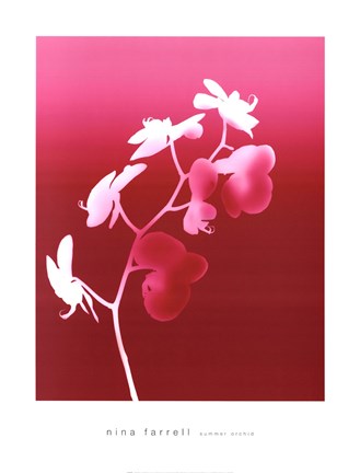 Framed Summer Orchid Print
