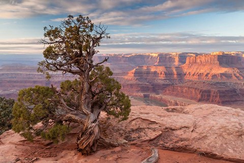 Framed Sunrise At Dead Horse Point State Park, Utah Print
