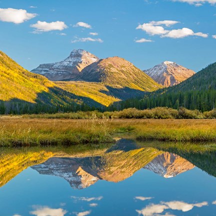 Framed River Reflection Of The Wasatch Cache National Forest Print