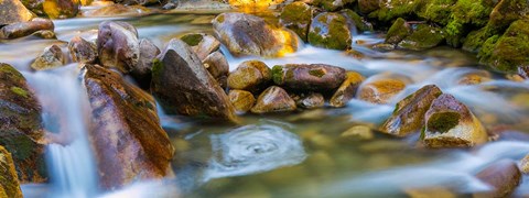 Framed Scenic View Of The Little Cottonwood Creek Print