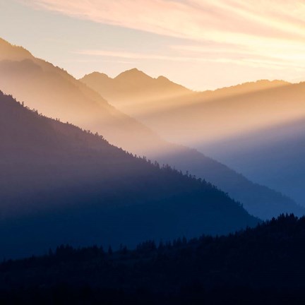 Framed Sunset In The Olympic National Forest Print