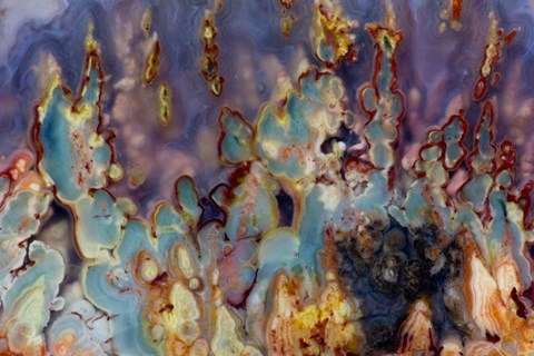 Framed Prudent Man Agate I Print