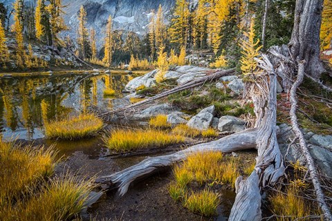 Framed Horseshoe Lake Landscape In The Alpine Lakes Wilderness Print