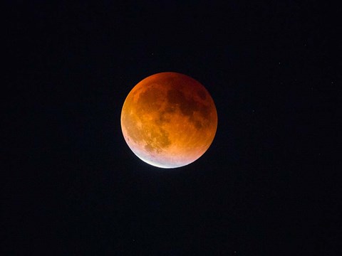 Framed Blood Moon In Seattle Print