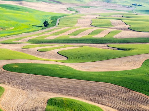 Framed Eastern Washington Landscape Print