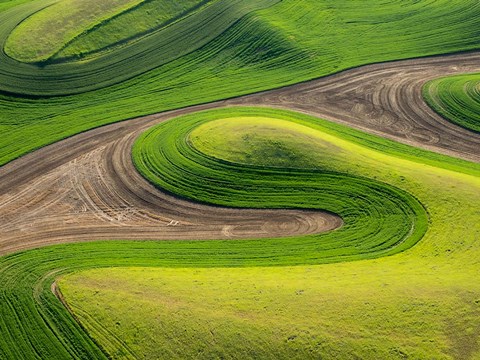 Framed Whitman County Aerial, Washington Print