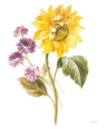 Framed Floursack Autumn III on White Print