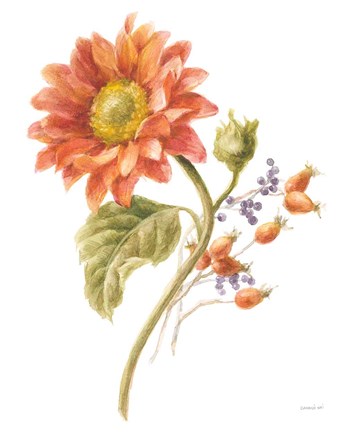 Framed Floursack Autumn II on White Print