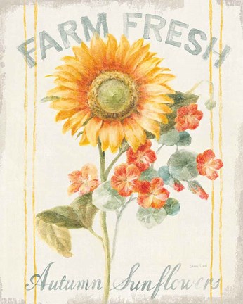 Framed Floursack Autumn IV Print