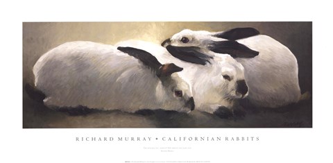 Framed Californian Rabbits Print