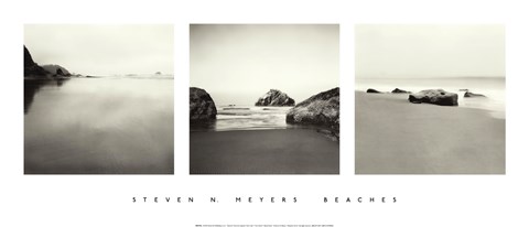 Framed Beaches Print