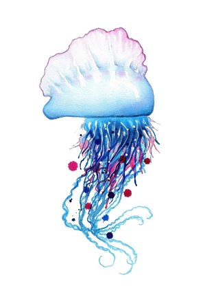 Framed Man o&#39;War Jellyfish Print