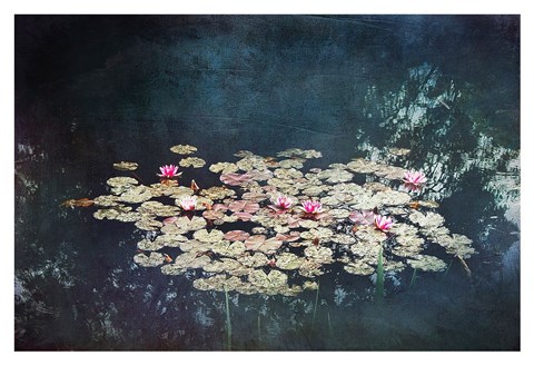 Framed Waterlilies Print