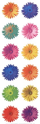 Framed Pop Art Daisies Print