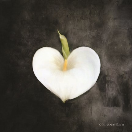 Framed Contemporary Floral Cala Lily Print