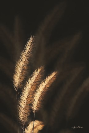 Framed Golden Grass III Print
