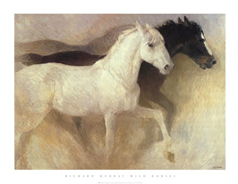 Wild Horses by Richard Murray