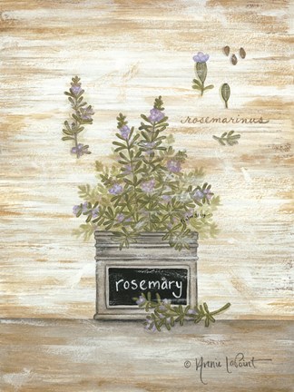 Framed Rosemary Botanical Print