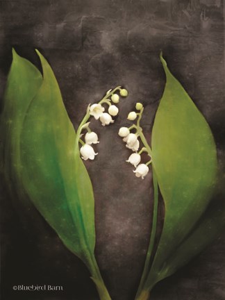 Framed Contemporary Floral Lily of the Valley Print