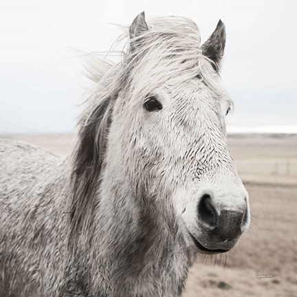 Framed Heida III BW Print