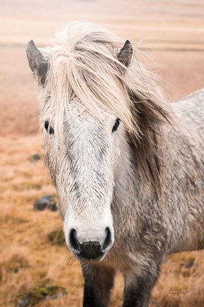 Framed Heida II Print
