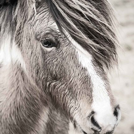 Framed Elska III BW Print