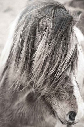 Framed Elska I BW Print