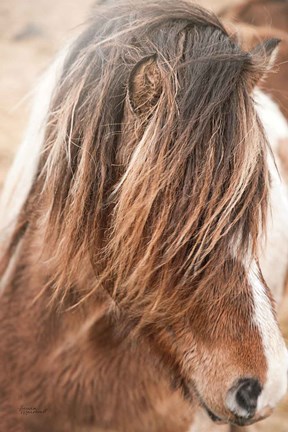 Framed Elska I Print