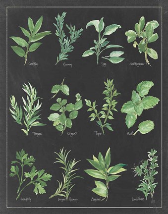 Framed Herb Chart on Black White Border Print