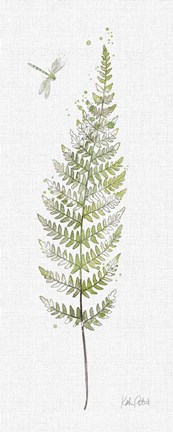 Framed In the Forest IX no distress Print