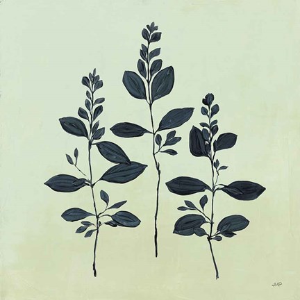 Framed Botanical Study IV Sage Print