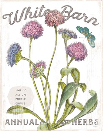 Framed White Barn Flowers VI Print