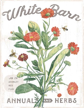 Framed White Barn Flowers IV Print